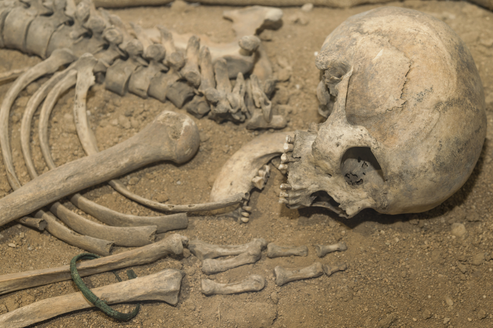Неандертальцы стали каннибалами из-за глобального потепления.Вокруг Света. Украина
