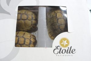Пассажир замаскировал черепах под пирожные, чтобы вывезти из Берлина