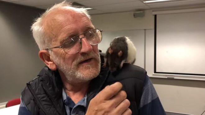 В Австралии полиция вернула бездомному потерянную крысу.Вокруг Света. Украина