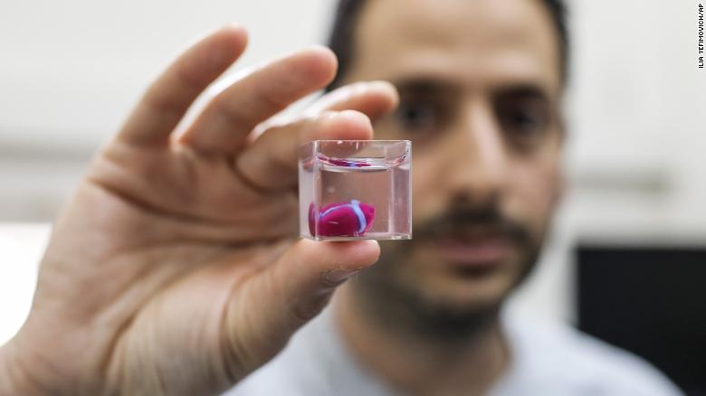 Ученые впервые напечатали на 3D-принтере живое сердце.Вокруг Света. Украина