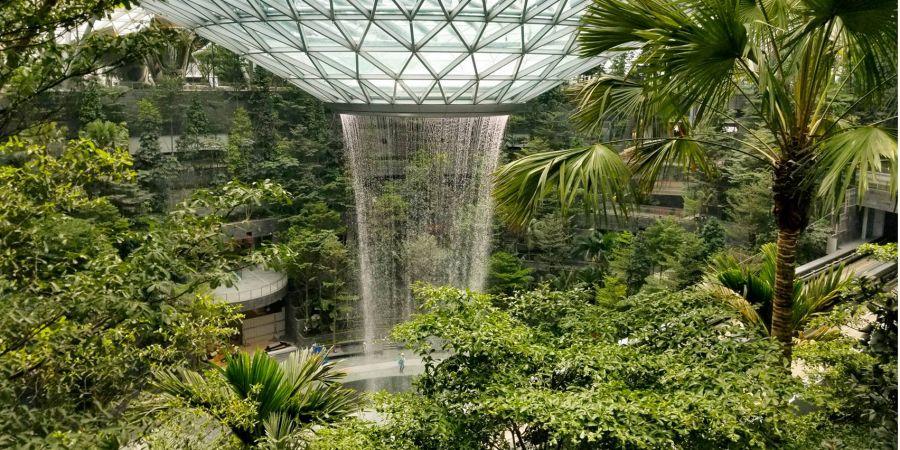 В аэропорту Сингапура открылся терминал с рекордным водопадом.Вокруг Света. Украина