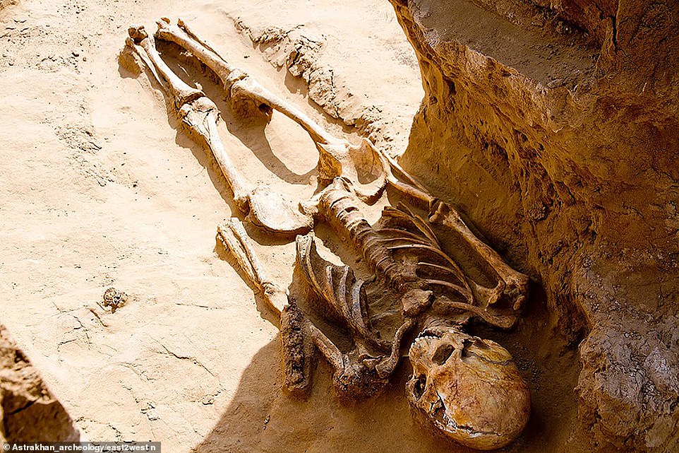 В России фермер нашел 2000-летний скелет сармата и золотые драгоценности.Вокруг Света. Украина