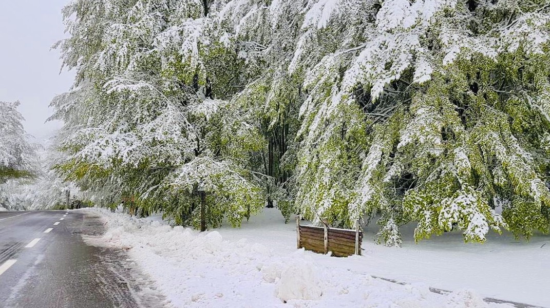 На Корсике выпал снег.Вокруг Света. Украина