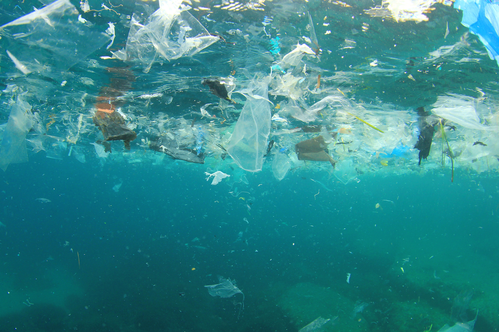 Пластик вредит бактерии, благодаря которой мы дышим.Вокруг Света. Украина