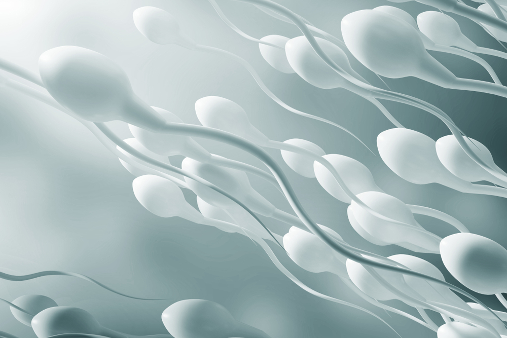 Любителям фаст-фуда грозит дефицит сперматозоидов  