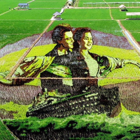 В Китае на рисовом поле вырастили кадр из фильма “Титаник”