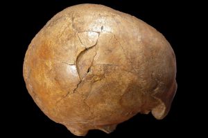 Ученые раскрыли убийство 33 000-летней давности