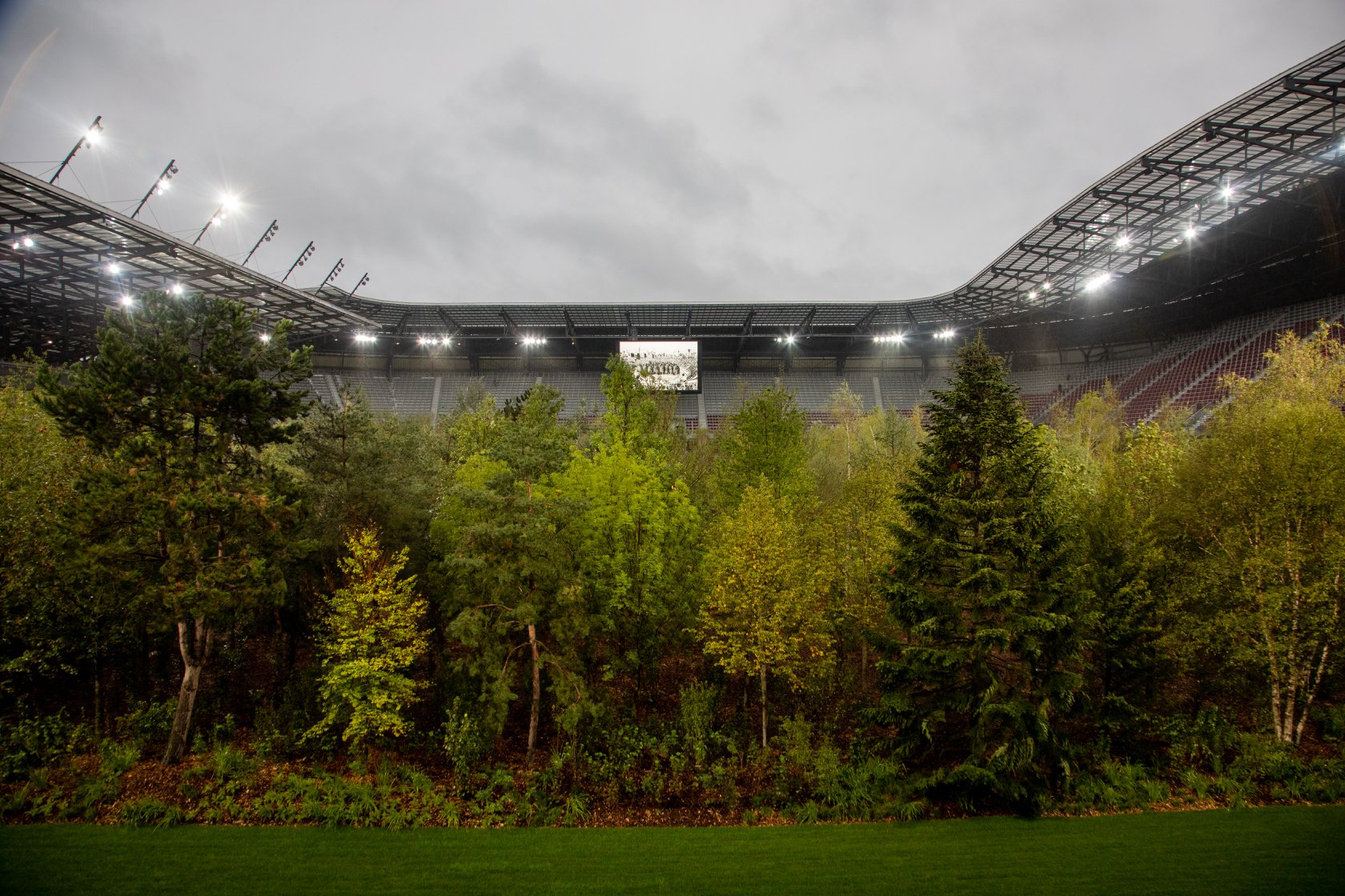 В Австрии посреди стадиона вырос лес