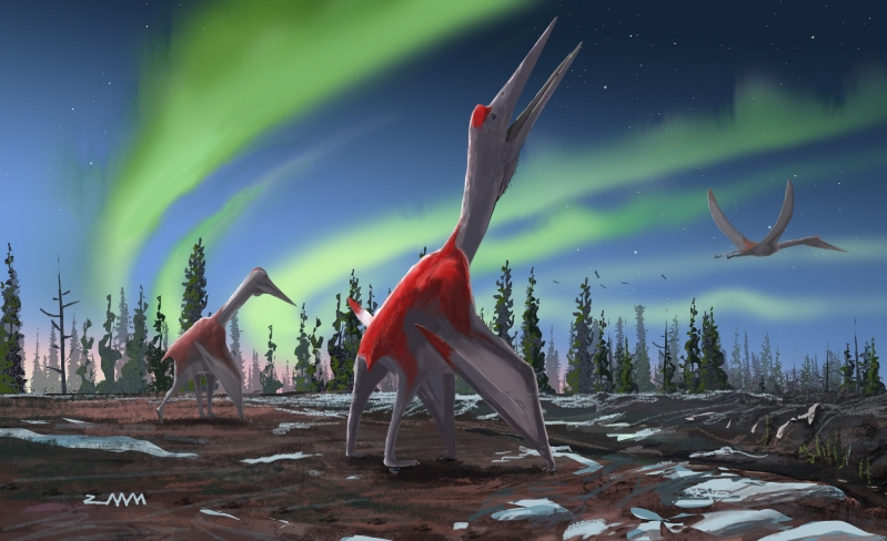 Палеонтологи обнаружили в Канаде останки нового вида птерозавров