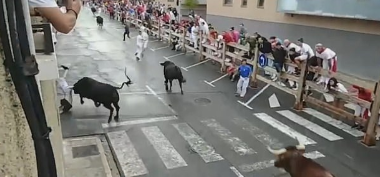 В Испании бык проткнул рогами мужчину (видео).Вокруг Света. Украина