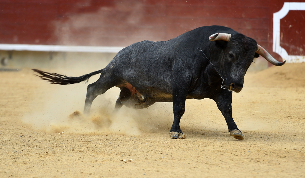 На фестивале в Испании бык насмерть проткнул рогами мужчину