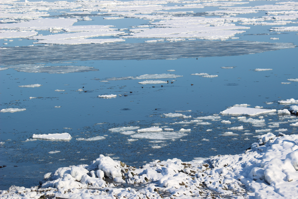 Арктический морской ледяной покров не восстанавливается - ученые.Вокруг Света. Украина