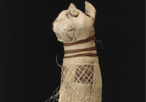 У древнеегипетской мумии кошки нашли три хвоста и пять лап.Вокруг Света. Украина