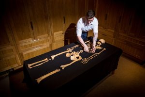 В Лондонском Тауэре впервые за полвека обнаружили человеческие скелеты