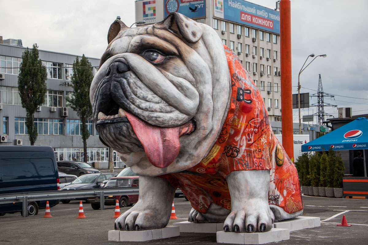 В Киеве поставили скульптуру гигантского бульдога.Вокруг Света. Украина