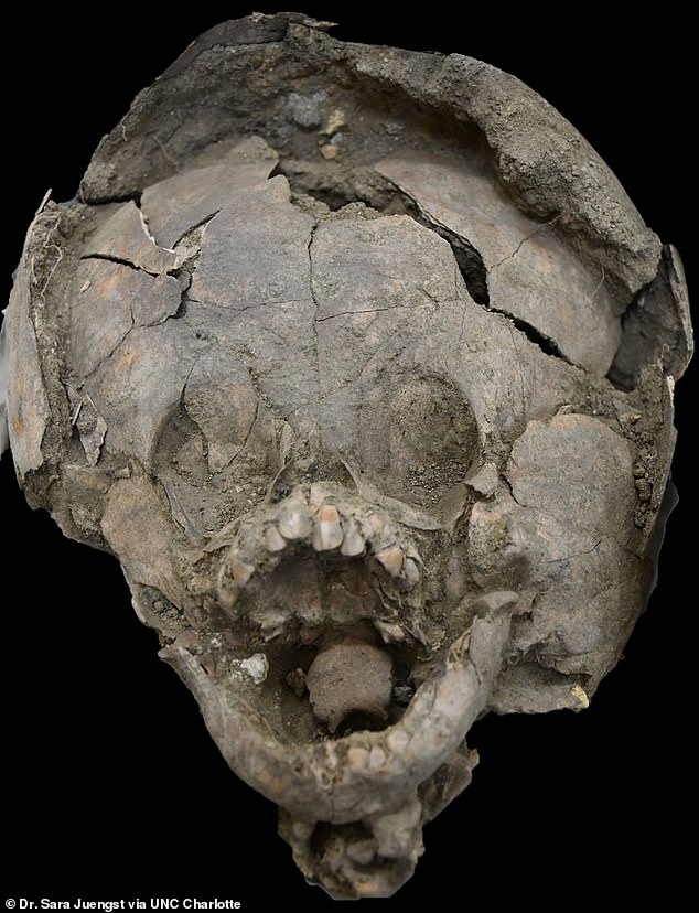 В Эквадоре археологи обнаружили младенцев, похороненных в шлемах из детских черепов.Вокруг Света. Украина