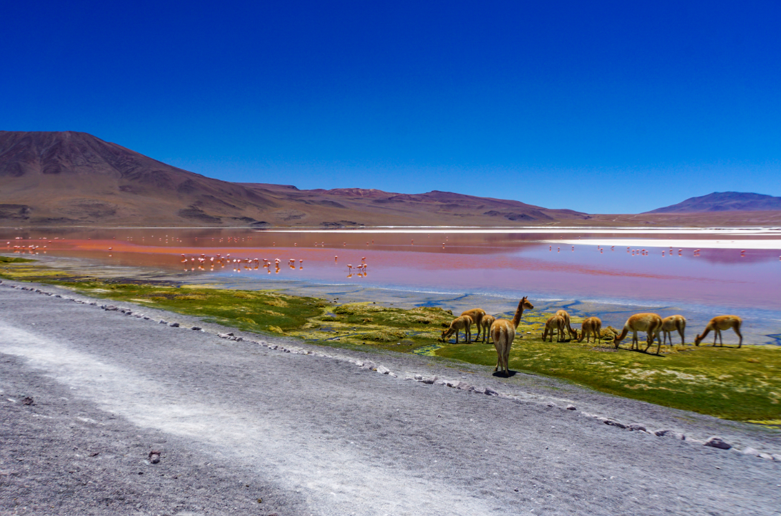 Город в небесах и дома в озере: 5 причин отправиться в Перу и Боливию
