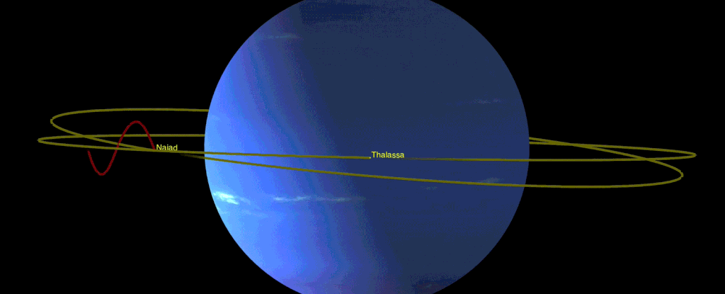 НАСА обнаружило странное орбитальное движение спутников Нептуна.Вокруг Света. Украина