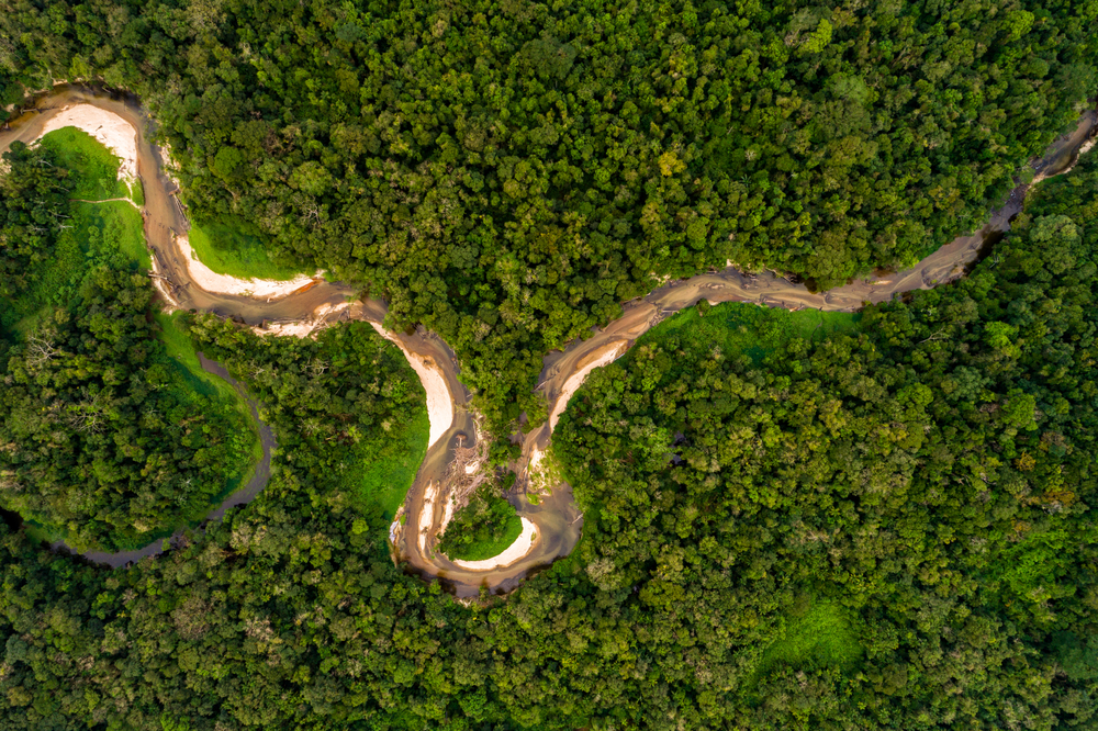 За год в бразильской Амазонии вырубили 30% лесов.Вокруг Света. Украина