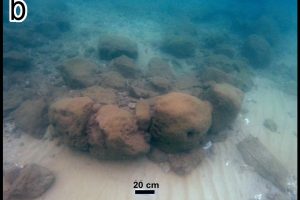 В море у побережья Израиля обнаружили 7-тысячелетнюю дамбу