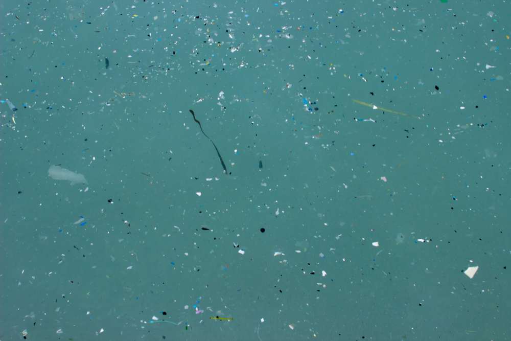 В миллион раз больше: ученые посчитали количество микропластика в океане новым методом