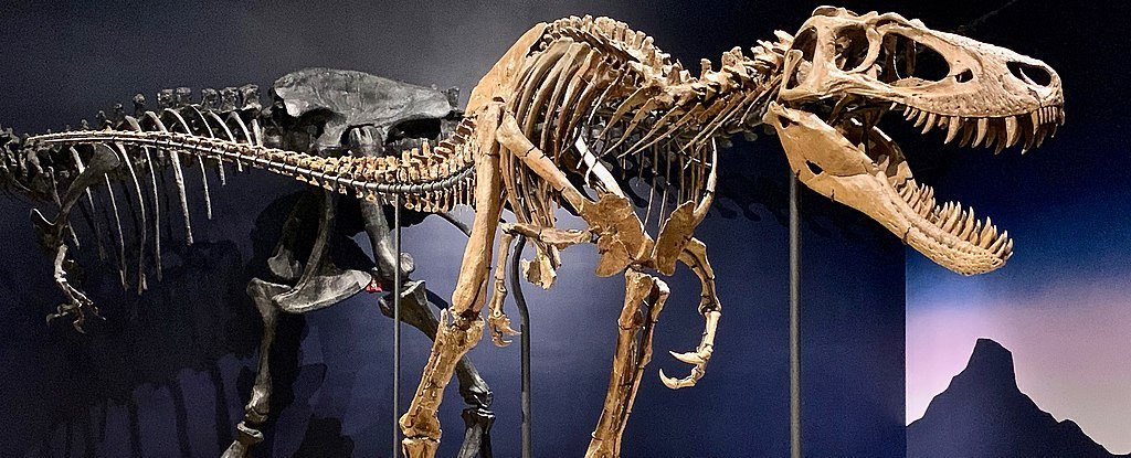 Представитель нового вида динозавров оказался детенышем тираннозавра.Вокруг Света. Украина
