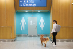 В аэропорту Хельсинки появились туалеты для собак