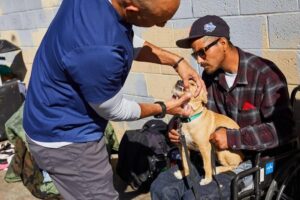 В Калифорнии создадут сеть уличных ветеринаров