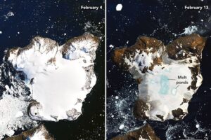 Антарктический полуостров разогрелся и подтаял
