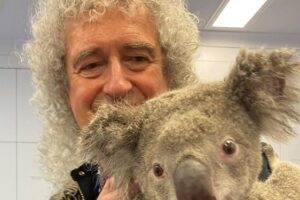 Гитарист Queen сыграл для австралийской коалы