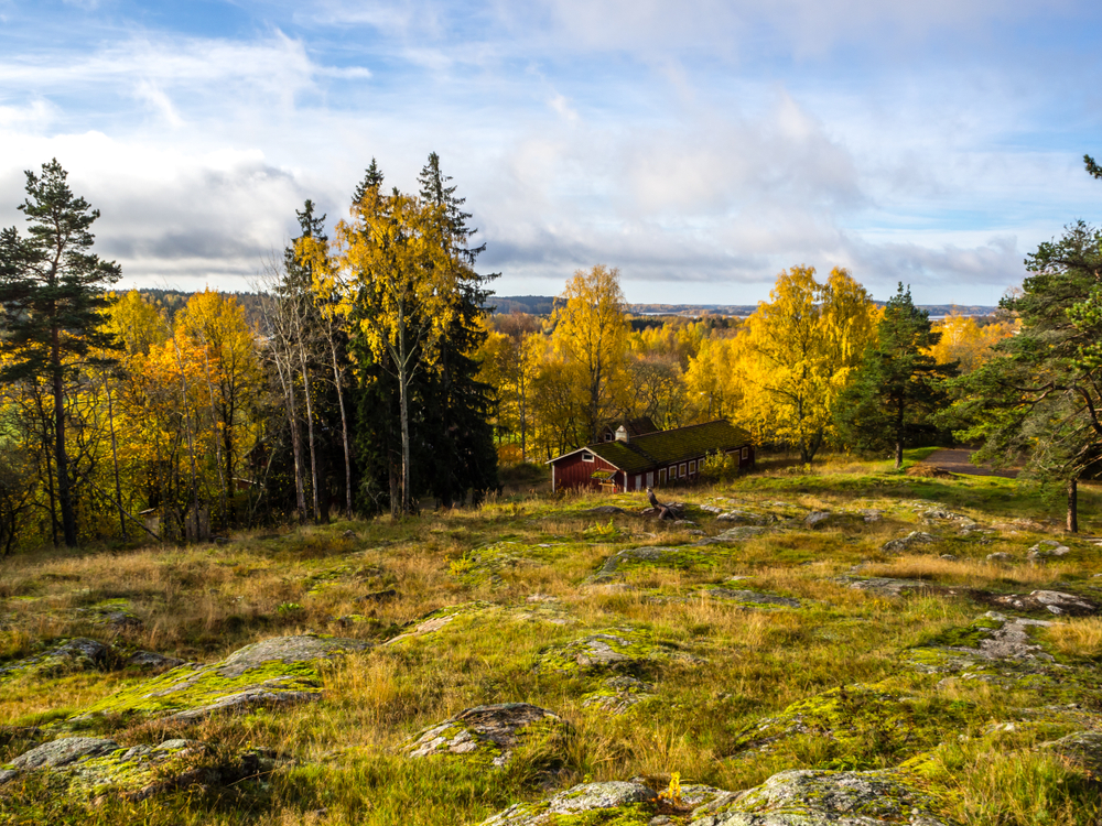 Кольцо, потерянное 47 лет назад в США, нашли в лесу в Финляндии.Вокруг Света. Украина