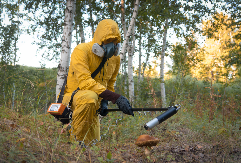 В Чернобыле нашли грибы, питающиеся радиацией.Вокруг Света. Украина