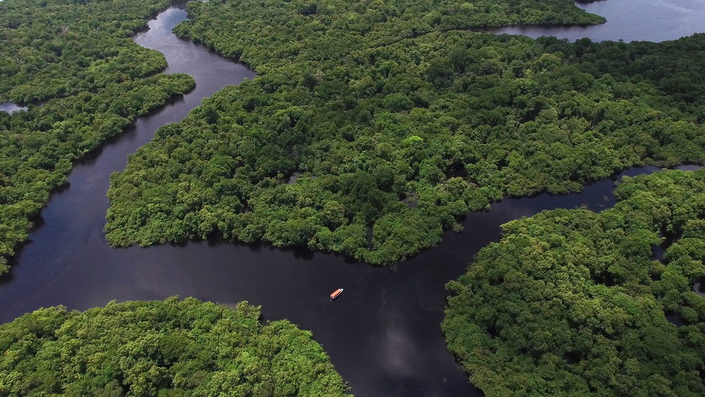 Пятая часть лесов Амазонии выделяет СО2 больше, чем поглощает.Вокруг Света. Украина