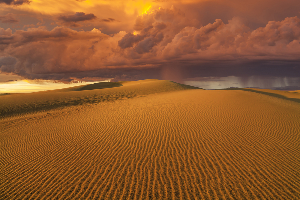 Пустыня Гоби: климат, обитатели, интересные факты