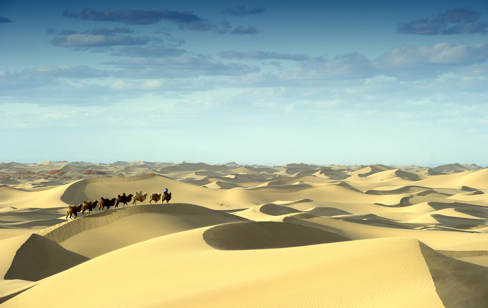 фото пустыня Гоби