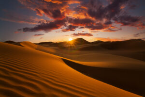 Дивна Сахара: цікаві факти про найбільшу пустелю в світі