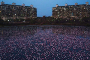 В индийском городе собрались 150 тысяч розовых фламинго