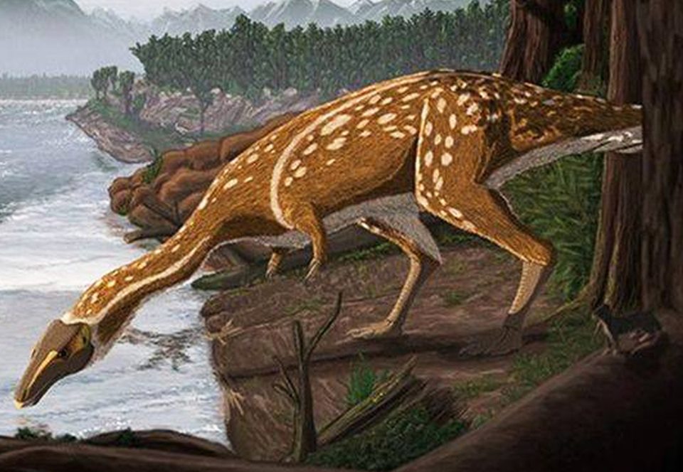 В Австралии идентифицировали останки беззубого динозавра.Вокруг Света. Украина