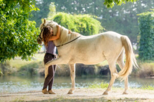 Лошади узнают фото своих владельцев даже спустя месяцы разлуки