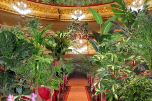 Барселонская опера даст концерт для растений