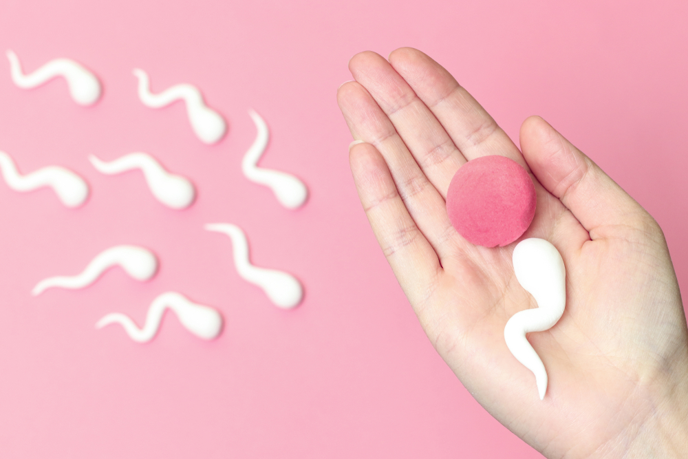Яйцеклетка умеет выбирать сперматозоиды, и ее «мнение» может не совпадать с решением женщины.Вокруг Света. Украина