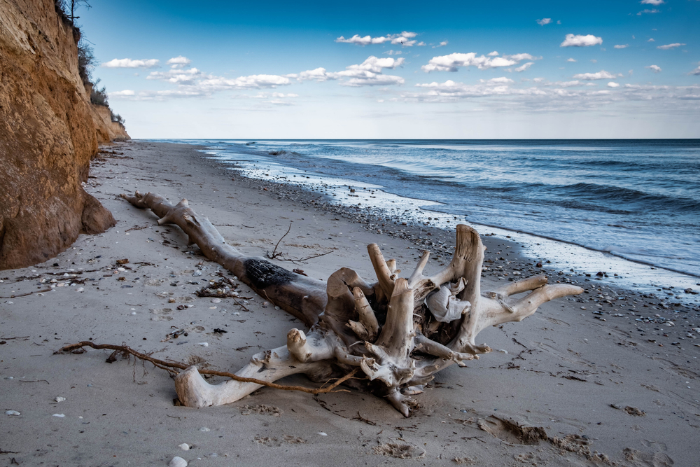На всех пляжах Одессы нельзя купаться