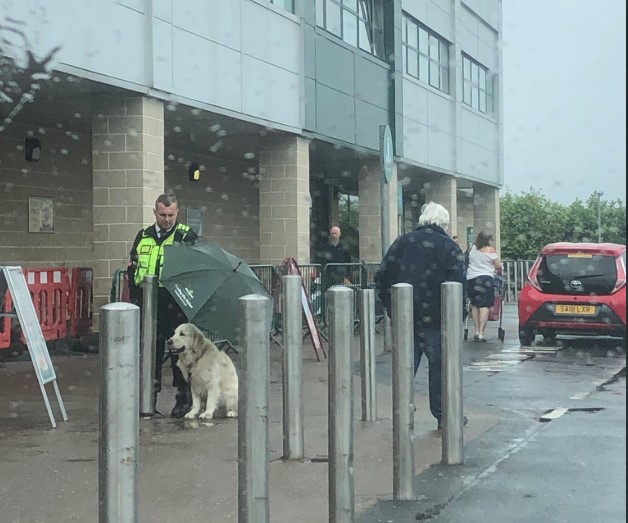 В Шотландии охранник магазина поделился зонтом с одинокой собакой.Вокруг Света. Украина