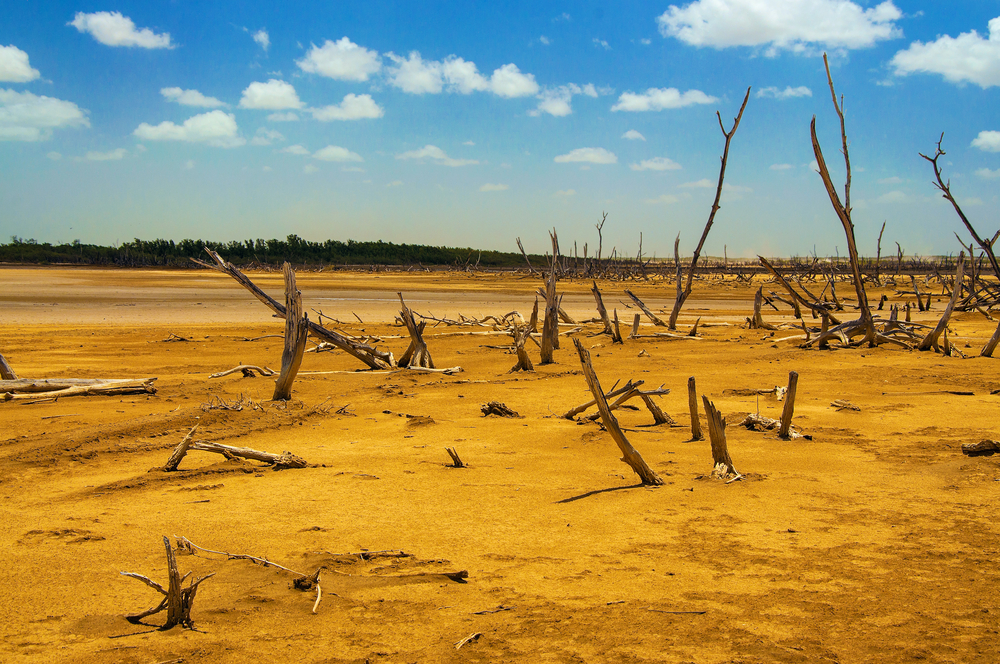 В Южной Америке – самые разрушительные засухи за 600 лет