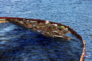 Борьба с пластиковыми отходами в океане неэффективна - исследование