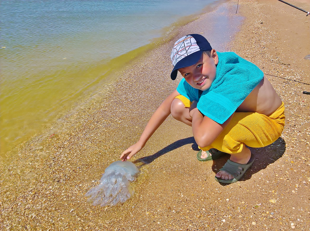 Чем опасны медузы и морские блохи на Азовском море?