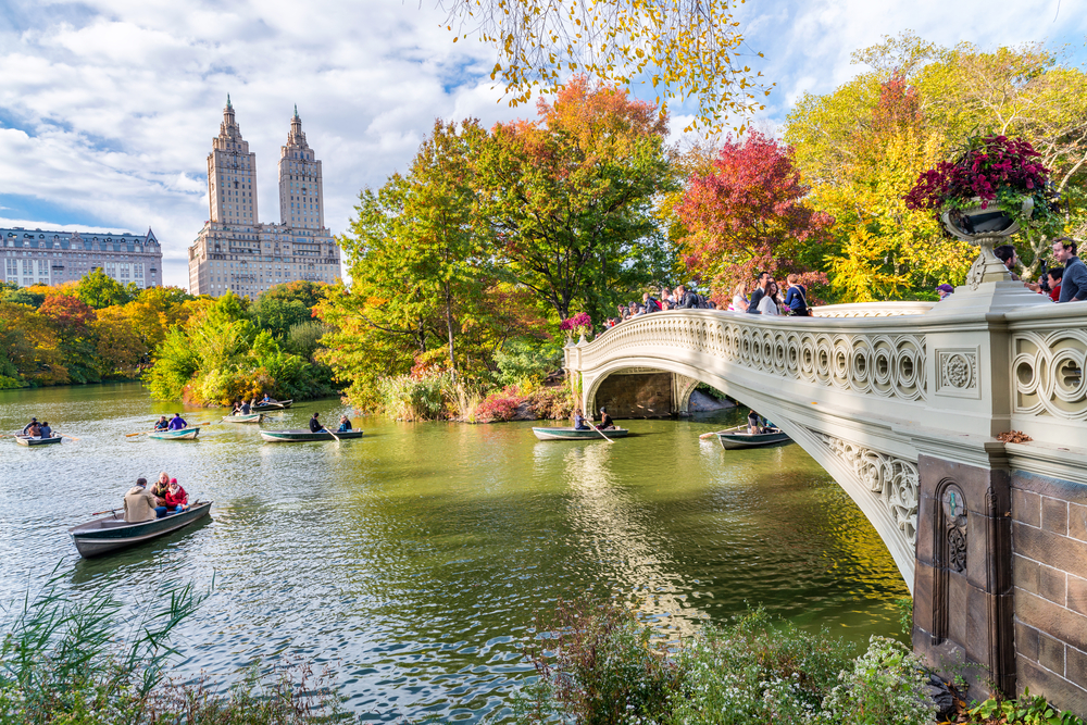 В Нью-Йорке ищут людей, которые будут следить за осенней листвой