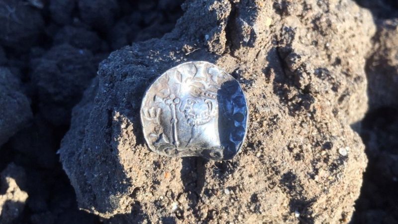 Английские подростки нашли в поле редкие монеты XI–XII веков.Вокруг Света. Украина