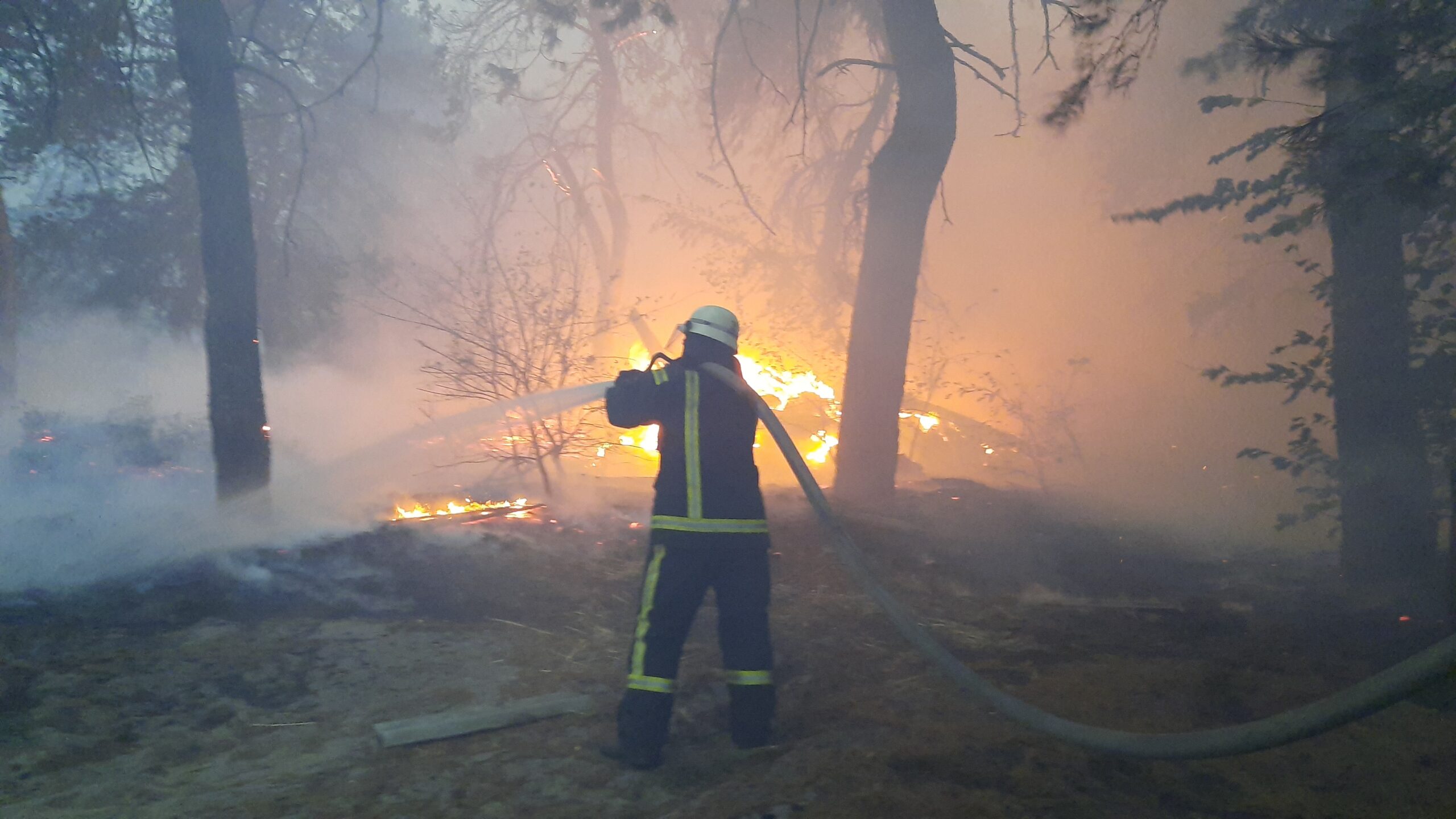 Пожары в Луганской области: версии следствия и новые жертвы.Вокруг Света. Украина
