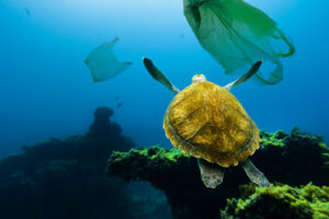 На дне океана в десятки раз больше пластика, чем на поверхности